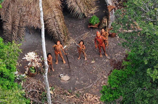 Những điều kỳ lạ trong rừng Amazon