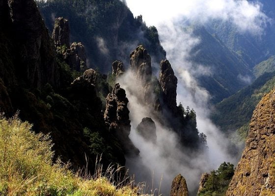 Đỉnh núi phủ đầy sương quanh năm ở Thần Nông Giá (ảnh internet)