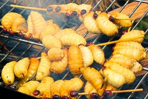 Đuông dừa cũng là “sản vật” tuyệt nhất Nam Bộ trong mắt dân nhậu