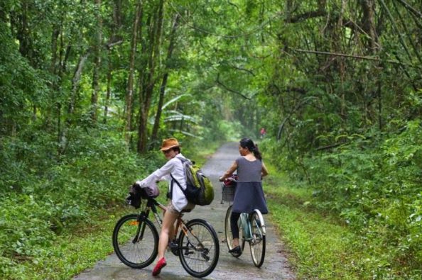 Trải nghiệm đi xe đạp ở vườn quốc gia Cát Tiên (ảnh sưu tầm)