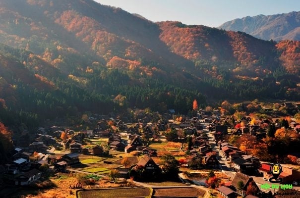 Mùa thu về trên ngôi làng Shirakawago (ảnh st )