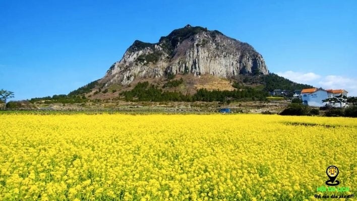 5 điểm du lịch tuyệt nhất vào mùa hè ở Hàn Quốc 