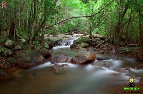 Suối Tranh ở Phú quốc đẹp tinh khôi và yên bình (ảnh sưu tầm)