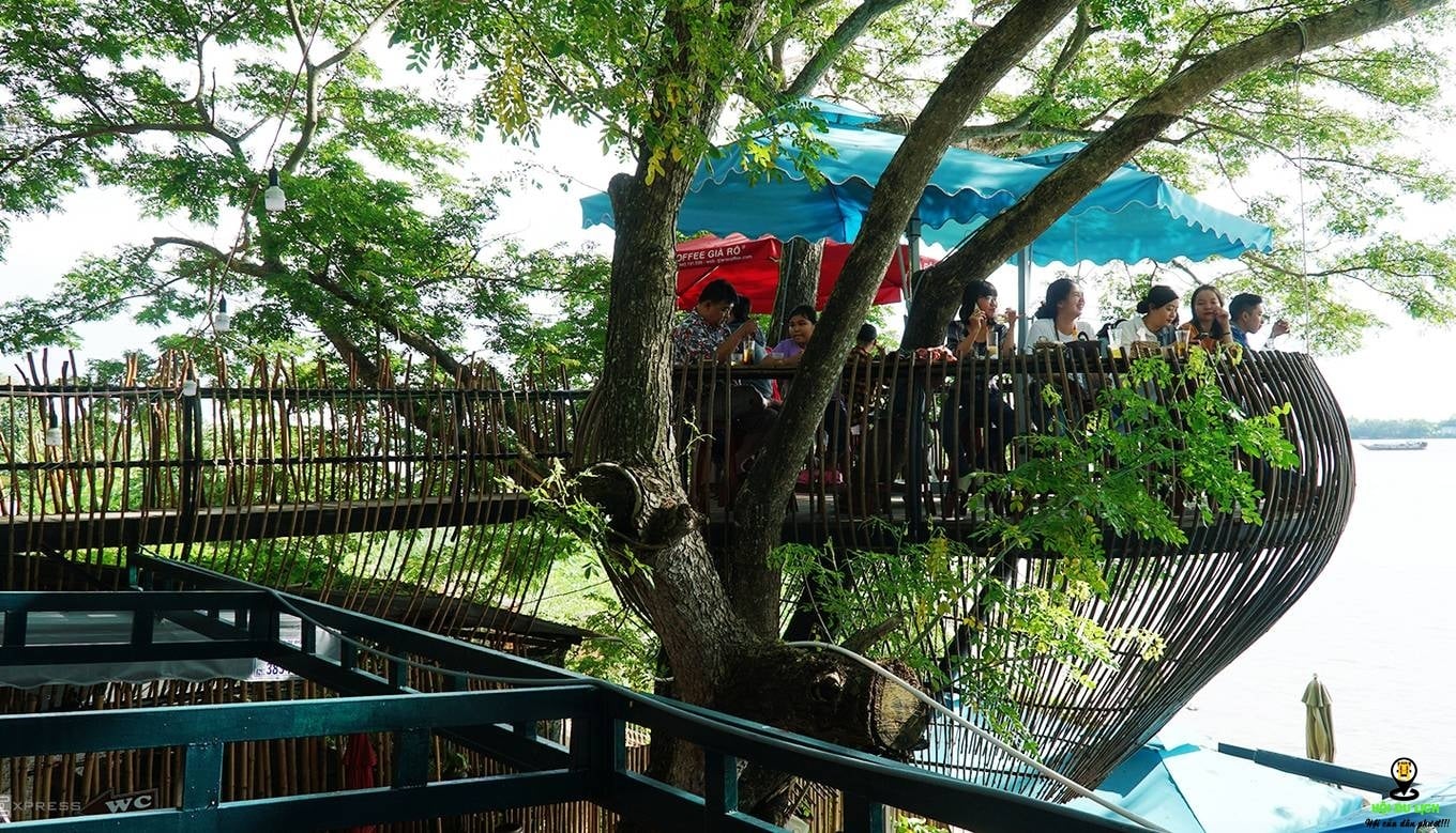 Quán cà phê cho khách ngồi trên cây ở Cần Thơ