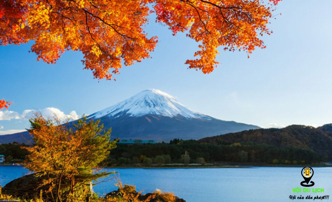 Bức tranh mùa thu ở núi Phú Sỹ- ảnh sưu tầm 