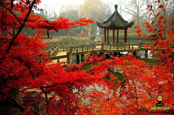 Cảnh mùa thu đẹp tuyệt ở núi Qixiashan- ảnh sưu tầm