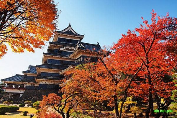 Lâu đài Matsumoto khi thu về- ảnh sưu tầm 
