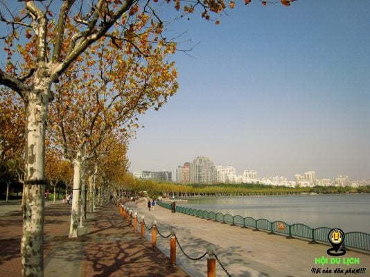 Mùa thu Thượng Hải - Trung Quốc đẹp bình yên- ảnh sưu tầm