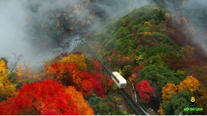 Mùa thu ở thung lũng Iya - Tokushima- ảnh sưu tầm 