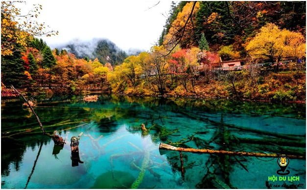 Thung lũng Jiuzhaigou trong mùa thu- ảnh sưu tầm