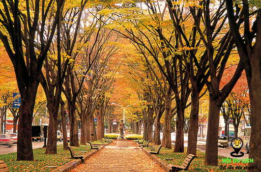 Đại lộ Midosuji vào mùa thu