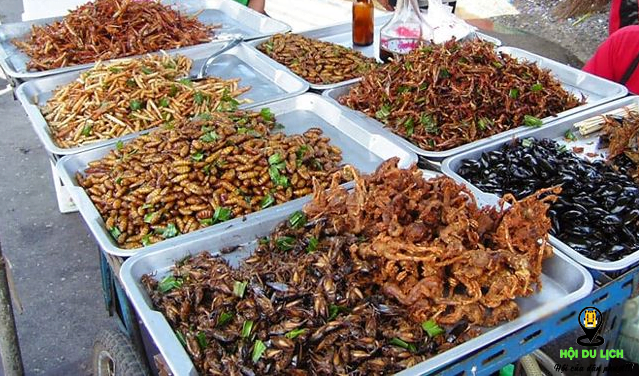 Các loại côn trùng khô ở Campuchia (ảnh sưu tầm)