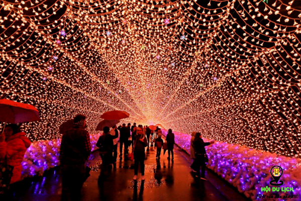 lễ hội ánh sáng trong mùa thu ở Nhật Bản (ảnh sưu tầm)