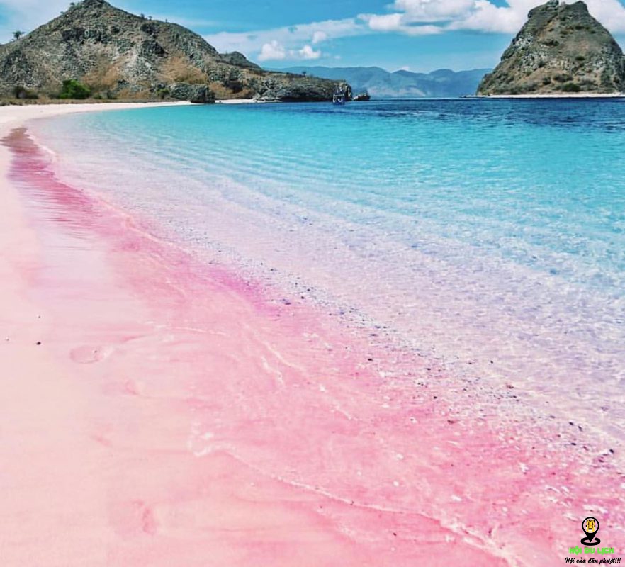 Hình ảnh bãi biển màu hồng