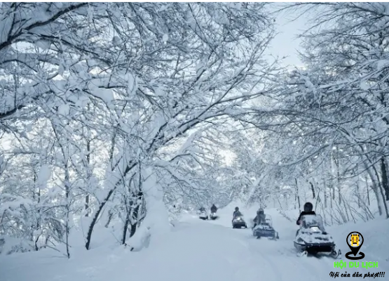 Hokkaido của Nhật trong mùa đông (ảnh sưu tầm)