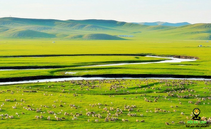 Thảo nguyên Hulun Buir với đồng cỏ rộng lớn (ảnh sưu tầm)