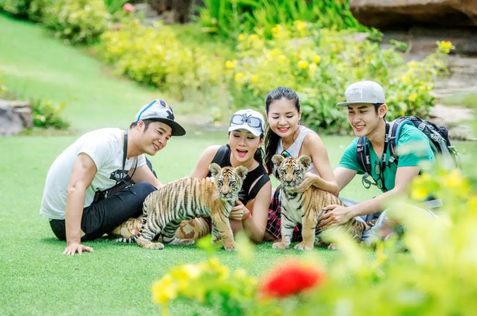 Top Trải Nghiệm Hè